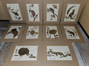 Saiyuen Hunter Australia Signed Original Oshibana Pressed Flower Leaf Art Lot 10 - Picture 1 of 11