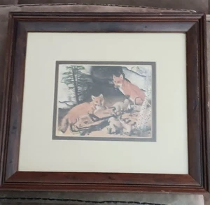Framed 1969 Gene Gray Print American Red Fox Family - Picture 1 of 3