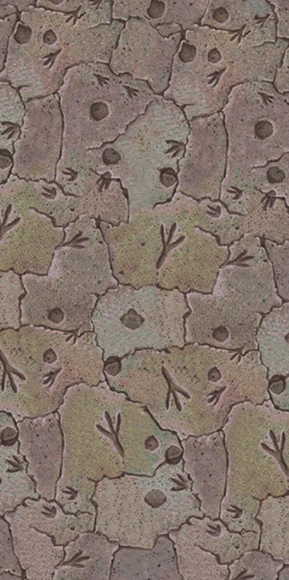 Diggin for Dinosaurs Favor Bags (20) - Birthday Party Supplies - Image 1 of 1