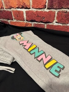 Disney Parks Minnie Mouse Joggers Sweatpants Grey Size S New w/o tags MOS - Picture 1 of 6