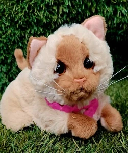 2012 Hasbro FurReal 6" Dress Me Babys hellbraun interaktives Katzenspielzeug funktioniert - Bild 1 von 5