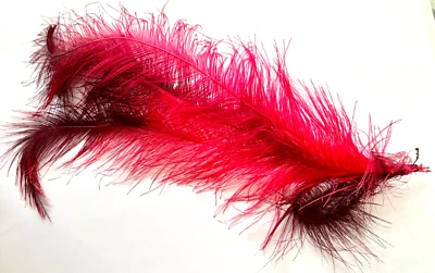 VINTAGE BRIGHT FUSCHIA PINK AND BLACK  LONG HAT FEATHER ORNAMENT - Изображение 1 из 4