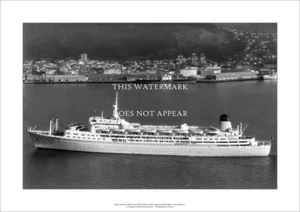 SS Northern Star Shaw Savill Albion A2 Art Print – Wellingtn – 59 x 42 cm Poster - Picture 1 of 3