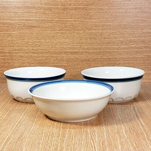 PFALTZGRAFF Northwinds 81/2" CUENCO PARA VERDURAS Y 71/2" CUENCOS PARA PANADERÍA (2) *XLNT USADO EN EXCELENTE ESTADO* - Imagen 1 de 1