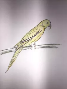 handmade drawings for school children Bird Berselys. Elementary Paint - Picture 1 of 5