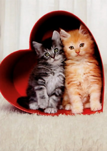 "Hugs and Kisses!" VALENTINE'S DAY CARD Avanti KITTENS in BOX