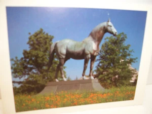 Vintage Postcard Statue Man O'War Kentucky Horse Park Unposted - Picture 1 of 2