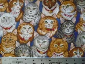  CAT KITTEN REAL VIP CATS COTTON FABRIC RARE QUILT FQ - Picture 1 of 1