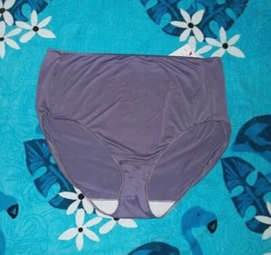 Colors ~ HANES Microfiber BRIEF Panties   Size 8 or 10  NEW - Picture 1 of 9
