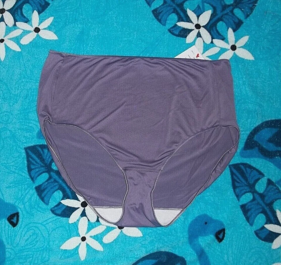 Colors ~ HANES Microfiber BRIEF Panties   Size 8 or 10  NEW - Image 1 of 1