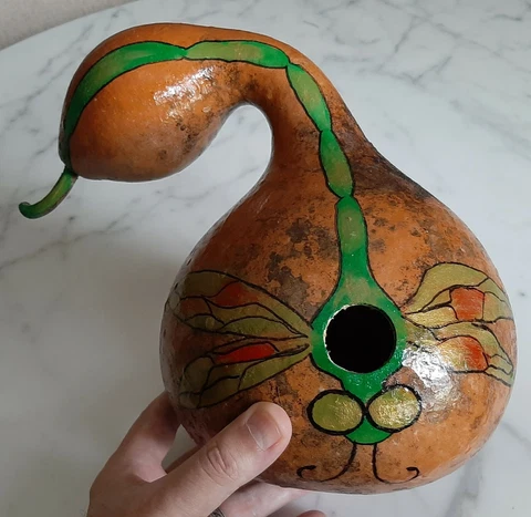 DRAGONFLY HAND-PAINTED GOURD BIRDHOUSE FOLK ART ~ ONE OF A KIND ~ LARGE 11 INCH Cover