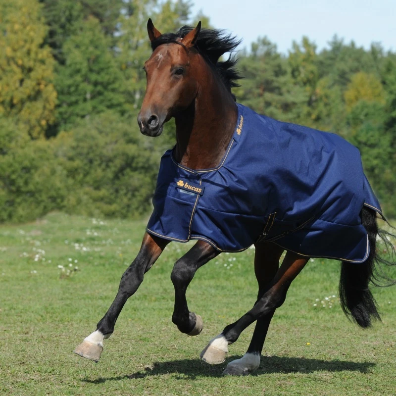 Bucas Irish Turnout Light 50g Classic 1200d - Navy/gold 145