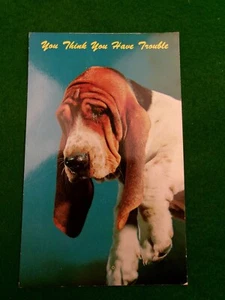 Bassett Hound dog postcard humorous "you think you have trouble" #2948 - Picture 1 of 2
