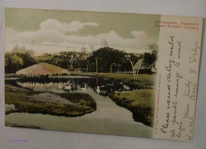 (FR1) British Guiana - Georgetown, Demerara. Lodge in Botanic Gardens (2)1906, l - Picture 1 of 2