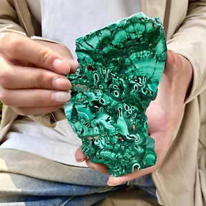 213G Natürlicher glänzender Malachit Transparent Cluster Roh Mineral Probe - Bild 1 von 12
