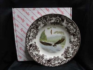 Spode Woodland Birds of Prey Spring Bald Eagle: NEW Dinner Plate, 10 1/2", Box - Picture 1 of 8