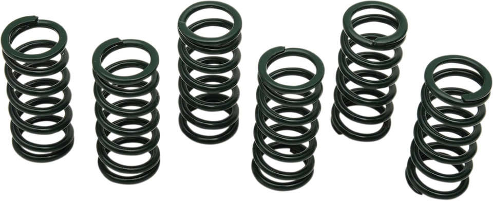 Kit de resorte de embrague Barnett 501-82-06023 - Resistente 84-86 Suzuki GS 1150 E Foto 1 de 1