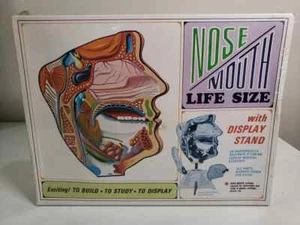S372-300PRE Pyro 1/1 Scale Human Heart (Pre-Owned) - Picture 1 of 1