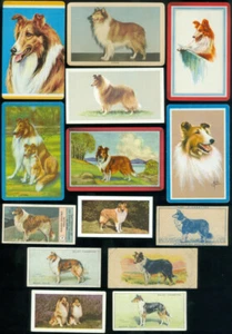 14 TARJETAS PERRO - COLLIES - LOTE UNO - Imagen 1 de 1