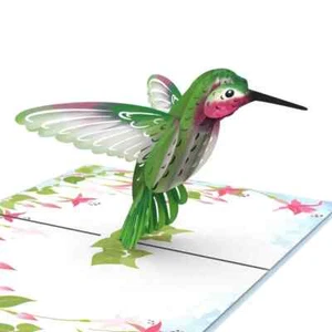 POP UP 3D Klappkarte *Kolibri* Vogel Grün Tierkarte Natur Blumen - Bild 1 von 5
