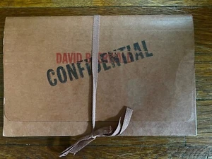 David Baerwald - Triage ULTRA RARE Promo CD in Ordnerverpackung '92 - Bild 1 von 3