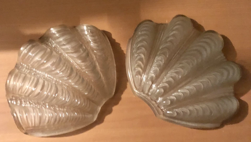 2 Grandi Conchiglie in Vetro - Immagine 1 di 1