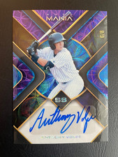 Anthony Volpe 2023 Wild Card Auto Mania /8