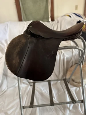 Stubben Siegfried Foto 1 de 4