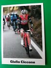 CYCLISME carte cycliste GIULIO CICCONE équipe TREK SAGAFREDO