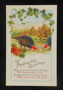 1910s Thanksgiving Greetings Feeding Turkeys Pineapples Green Grapes Wheat PC - Picture 1 of 1