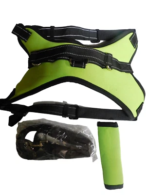 Dog  Walking Vest & Leash Set-Size Large - Image 1 of 4