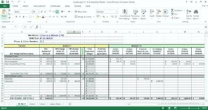 Project Cost Tracking Excel Template (Editable) - Picture 1 of 1