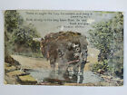 Horse And Cart Glazette Series "Harvesting" Picture Postcard Acceptable
