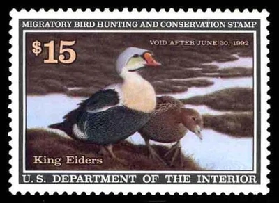 RW58 — 1991 King eider, XF-Superb 95 NH, PSE Certificate - Image 1 of 2