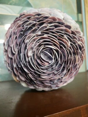 Enorme esfera de concha marina vintage jardín hogar baño decoración 8" Foto 1 de 4