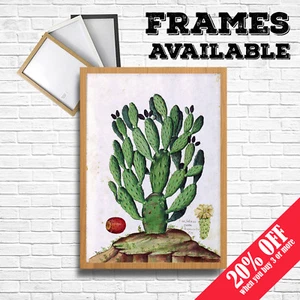 CACTUS Print , Vintage Cactus Succulent Poster , Botanical Prints Summer Decor - Picture 1 of 4
