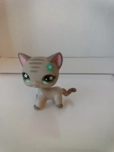 Littlest Pet Shop~#483~Gris~Caminando~Gatito~Flor Azul~Ojos de Flor Verde - Imagen 1 de 3