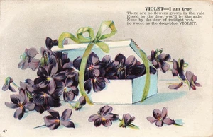 LANGUAGE OF FLOWER VIOLET I AM TRUE EMBOSSED c1910 POSTCARD 092425 U - Picture 1 of 2