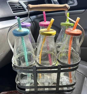 6 Glass Bottles Colorful Metal Caps Polk Dot Hard Plastic Straws Metal Carrier - Picture 1 of 1