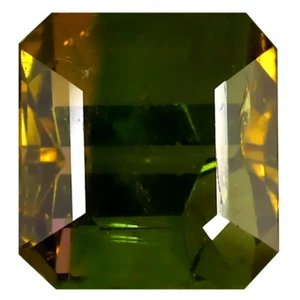 4.84 ct Gorgeous Octagon (9 x 10 mm) (Un-Heated) Mozambique Bi-Color Tourmaline - Picture 1 of 1