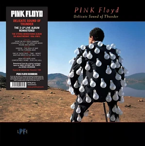 Pink Floyd - Delicate Sound Of Thunder 2 lp - Foto 1 di 2