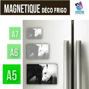 A5-A6-A7 - Magnético Decoración - Caballo Caballos Potro Yegua Animales CH-05 - Bild 1 von 7