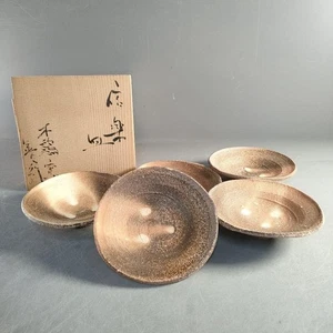 Japanese Shigaraki Ware Plates by Yoshiyuki Shimizu Set of 5 with Box - Picture 1 of 17
