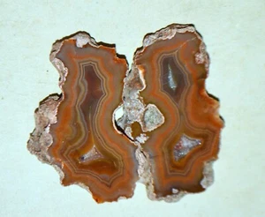 Pair Condor Agate from Argentina * rare * collector piece - Picture 1 of 5