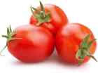 50 Seeds Quimbaya Tomato Tomatoe Vegetable Garden Edible Canning