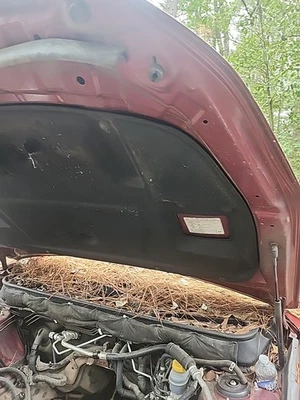 2010-2014 Subaru Outback Complete Red Hood Assembly,Paint Code D1T OEM Complete  - Image 1 of 4