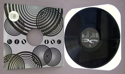 WILD WEST/TERRAFORMA EP/IMP. ENGLAND 1993 PLINK PLONK RECORDS TECHNO ELECTRO DJ Foto 1 de 2