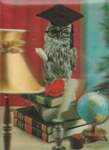 Tarjeta Postal 3D Fauna - Búho - No Viaggiata MF99998 - Imagen 1 de 1