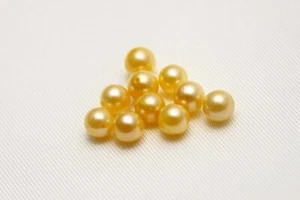 Perla Akoya suelta ambos agujeros 4,0-4,5 mm 10 piezas color dorado - Imagen 1 de 2