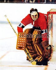 NHL 1972 - 73 Montreal Canadiens Ken Dryden Game Action Color 8 X 10 Photo Pic